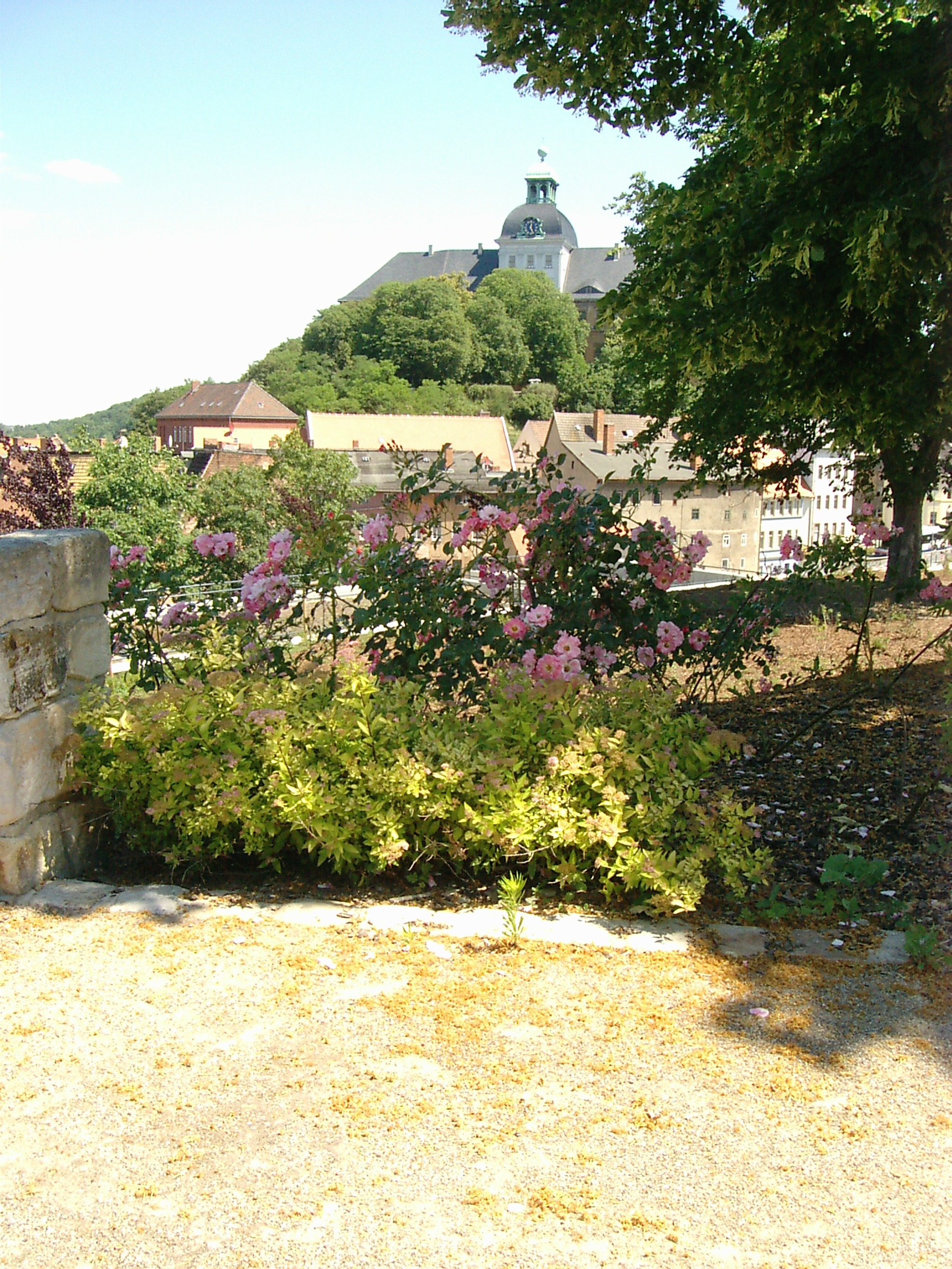 Blick auf Schloss Neu-Augustusburg vom Georgenberg (Foto)